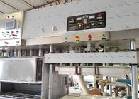 Machine de fabrication de plat moulée de pâte à papier pour la chaîne de production fonctionnante facile d'Ecowares