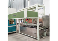 Machines de carton d'oeufs de pulpe de papier/caisse de moulage automatiques d'oeufs faisant la machine 1000pcs/h