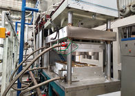 Plaque à papier de vaisselle/biodégradable faisant la machine 1000pcs/h semi automatique