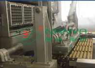 Cartonneuse rotatoire automatique de plateau d'oeufs/oeufs pulpe à haute production moulée