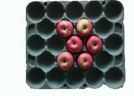 Plateau moulé rectangulaire dégradable de fruit de produits de pulpe de papier avec 20 cavités