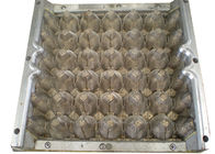 Cuivre de moulage personnalisable de pulpe 30 moules/matrices de plateau d'oeufs de cavités