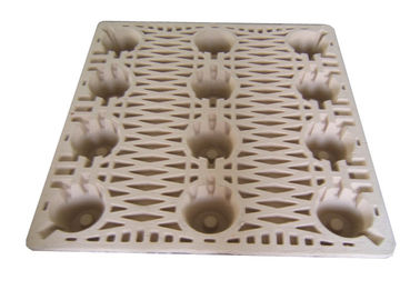 Machine de moulage de pâte pour palettes moulées en pâte