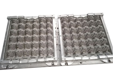 Egg la machine de moulage de pulpe de plateau 800Pcs approuvé par CE semi-automatique/H