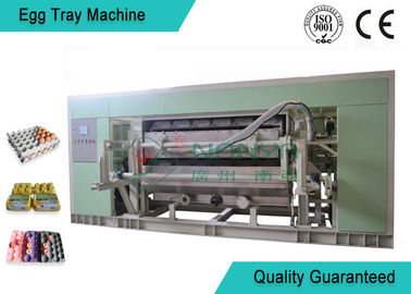 Plateau moulé entièrement automatique faisant la machine pour la chaîne de production de plateau d'oeufs/carton d'oeufs/tasse d'ensemencement