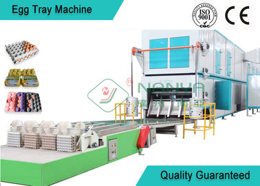 Machine rotatoire professionnelle de plateau d'oeufs multi - chaîne de production de plateau d'oeufs de dessiccateur de couche