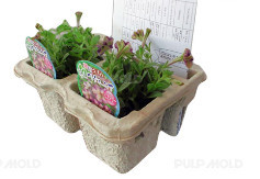 Boîte à oeufs facile d'opération formant la chaîne de production de plateau d'oeufs de bâti de machine/pulpe de papier