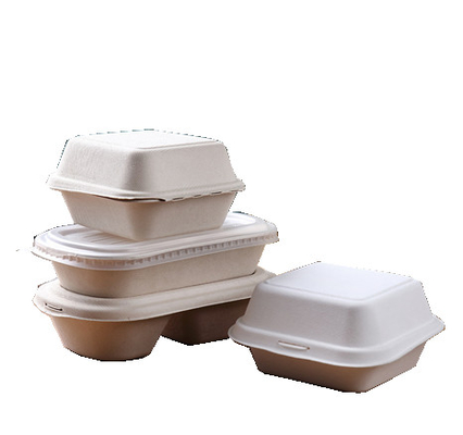 Réduisez en pulpe la chaîne de production de vaisselle de Thermoforming/la machine de bâti de plat fibre de Bgasse
