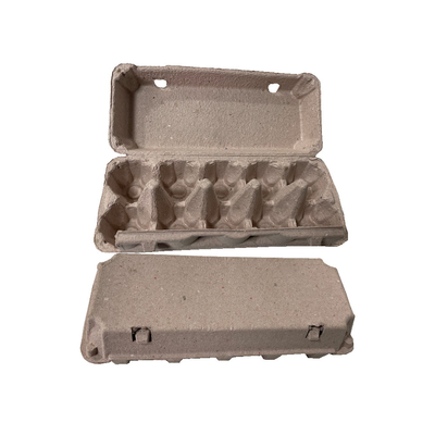 Machine de échange automatique de carton d'oeufs, équipement de moulage de pulpe de papier