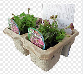 Formation de moulage de papier de plateau de fruit de pulpe/machine carton d'oeufs, 1000pcs/h