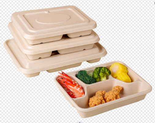 Vaisselle complètement automatique faisant la machine pour les paquets moulés de pulpe