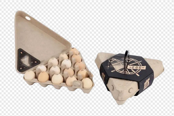 Machine de bâti chaude semi automatique de pulpe de papier de presse pour la boîte à oeufs/plateau de papier d'oeufs