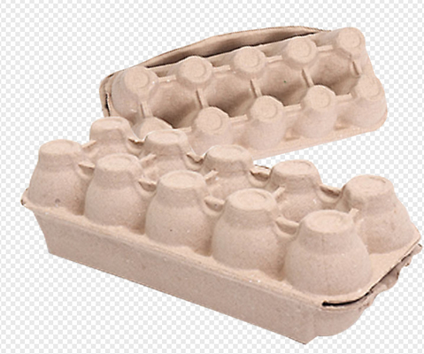 dessiccateur multi automatique de couche de machine de plateau d'équipement/oeufs de bâti de pulpe de 1400 pcs/h