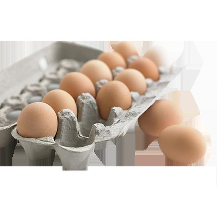Machines de papier de moulage de plateau d'oeufs de pulpe complètement automatique durable avec du CE