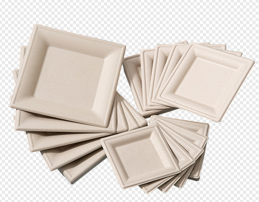 Équipement de bâti de vaisselle de pulpe de papier de Vierge/pulpe de Dishware à partir de 1800 ~18000Pcs/H