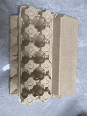 Machines de carton d'oeufs de pulpe de papier/caisse de moulage automatiques d'oeufs faisant la machine 1000pcs/h