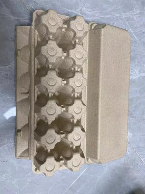 Boîte à œufs à pâte entièrement automatique/machine à plateau/ligne de production de production de masse Boîte à œufs