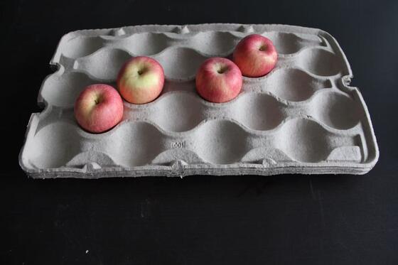 De capacité moyenne réutilisez le plateau de papier d'oeufs faisant la machine avec le dessiccateur