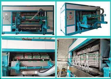 Pulpe de papier de rebut moulant le plateau d'oeufs d'Euipment/la machine rotatoires boîte à oeufs