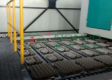 Plateau moulé entièrement automatique faisant la machine pour la chaîne de production de plateau d'oeufs/carton d'oeufs/tasse d'ensemencement