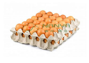 Cartonneuse rotatoire automatique de plateau d'oeufs/oeufs pulpe à haute production moulée