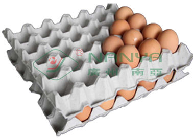 1800Pcs/H a moulé la machine de carton d'oeufs de pulpe complètement automatiquement