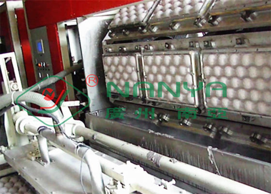 les plateaux du fruit 250kw Eggs le plateau faisant la machine pour nettoyer à l'aspirateur l'aspiration 600m2