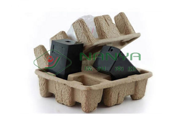 Plateau professionnel d'oeufs de bâti de pulpe faisant la machine/équipement 1200Pcs/H