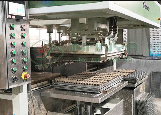 TV empaquetant 80kg/h la pulpe électronique Tray Machine