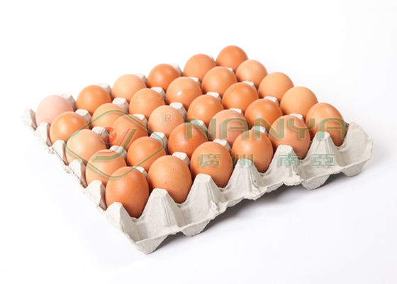 Egg le plateau/tasse de support de pulpe de bâti rotatoire de papier jetable d'équipement avec du CE