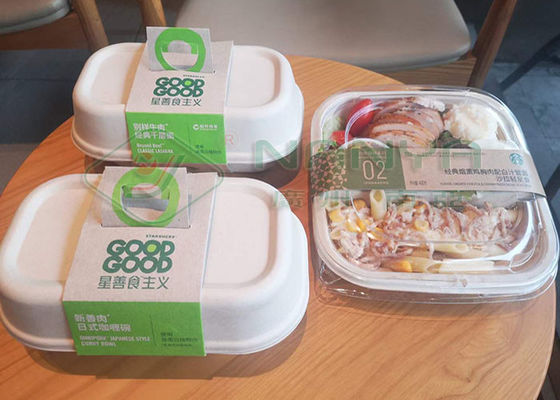 L'équipement de bâti de pulpe de plaque à papier d'Eco pour les plats à emporter enferme dans une boîte le CE