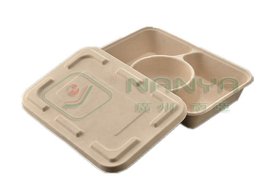 Machine de bâti compostable de pulpe de papier/ligne manuelle de plateau de nourriture de vaisselle