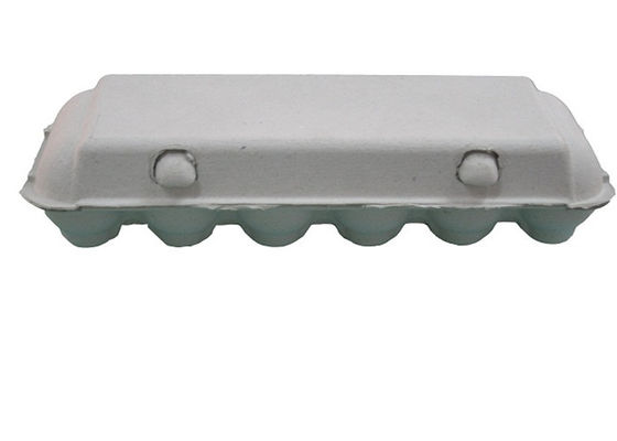 Le papier jetable a moulé le carton d'oeufs/boîte à oeufs/plateau d'oeufs avec 10 cavités