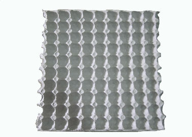 Machine de moulage de pâte pour carton à œufs de caille moulé en papier blanc jetable / plateau à œufs avec 90 cavités