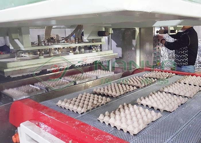 Machine de moulage de pâte pour carton à œufs de caille moulé en papier blanc jetable / plateau à œufs avec 90 cavités
