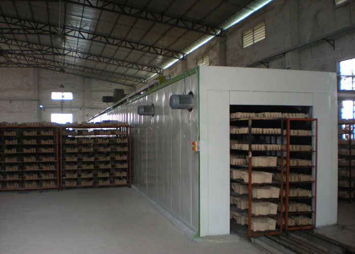 Percez un tunnel le type la chaîne de production de séchage de machine de bâti de pulpe de papier, 220V - 440V