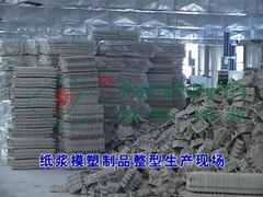 Machine à pressage à chaud pour le moulage de pâte