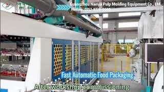 Machine d'emballage alimentaire entièrement automatique YC042
