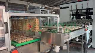 Machine de fabrication de carton d'oeufs entièrement automatique/plateau d'oeufs de production de masse/amchine de fabrication de carton