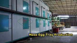 Machine de fabrication de plateaux à œufs entièrement automatique/plateau à œufs de production de masse/machine de fabrication de carton