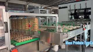 Machine de fabrication de carton d'oeufs entièrement automatique/plateau d'oeufs de production de masse/amchine de fabrication de carton