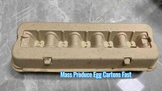 Machine de moulage de pâte entièrement automatique pour carton d'oeufs/machine de carton d'oeufs/carton d'oeufs de pulpe